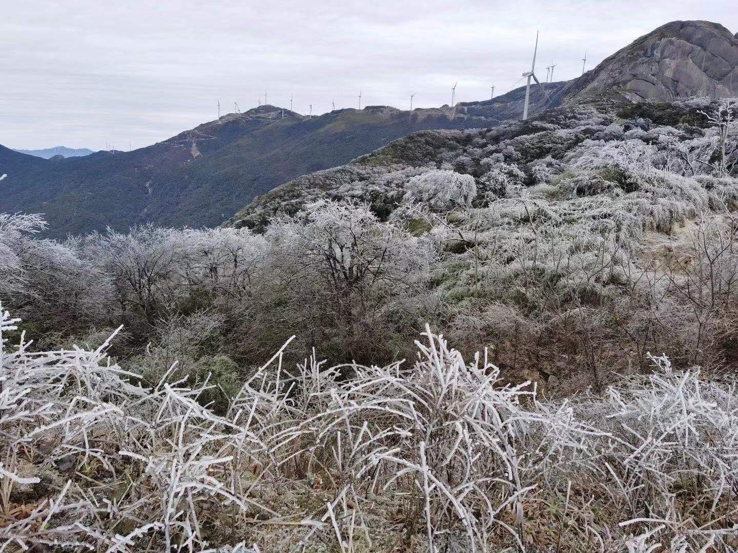 燕子山的雪455 / 作者:小新数码 / 帖子ID:281252