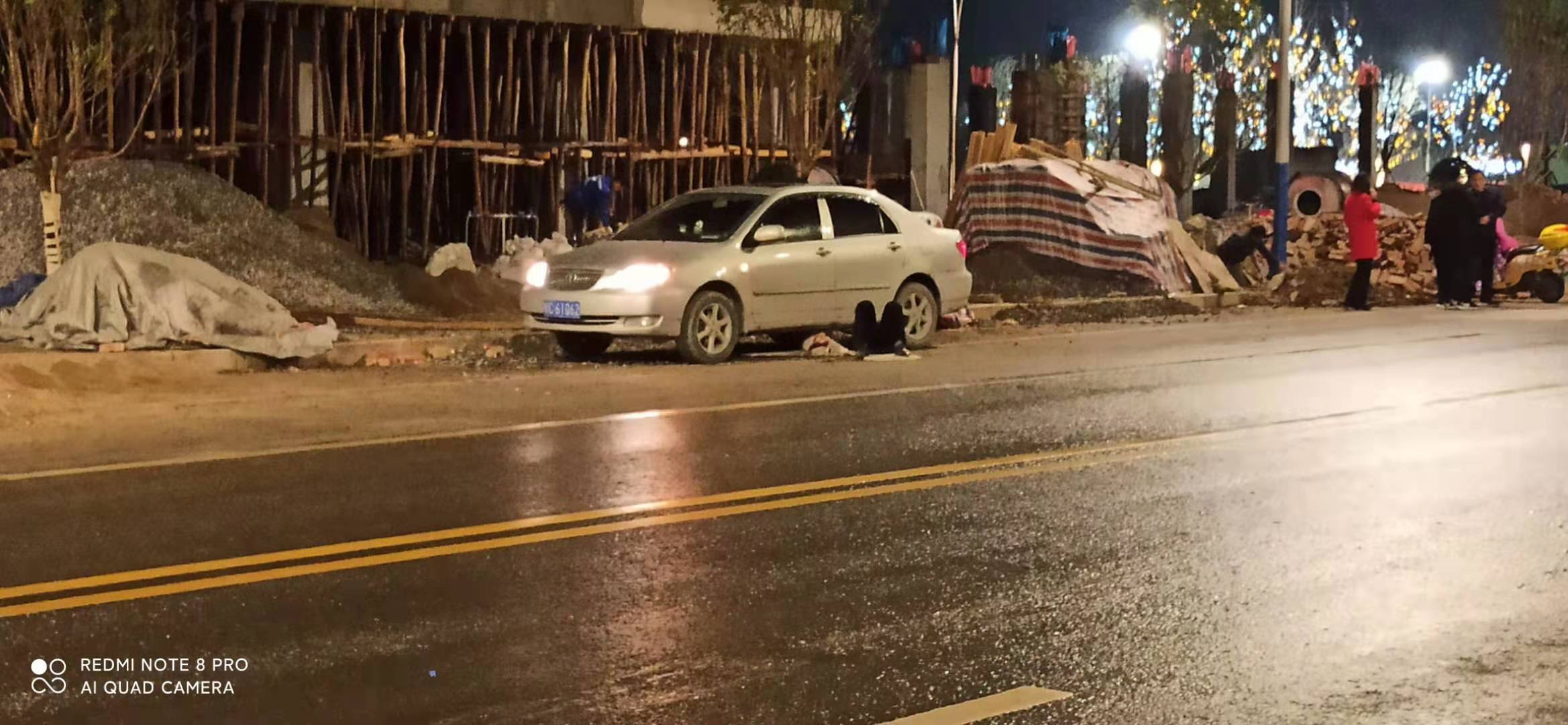 狗主人不拉狗绳，狗被车子撞死，该不该赔？143 / 作者:米老鼠和蓝精鼠v / 帖子ID:281785