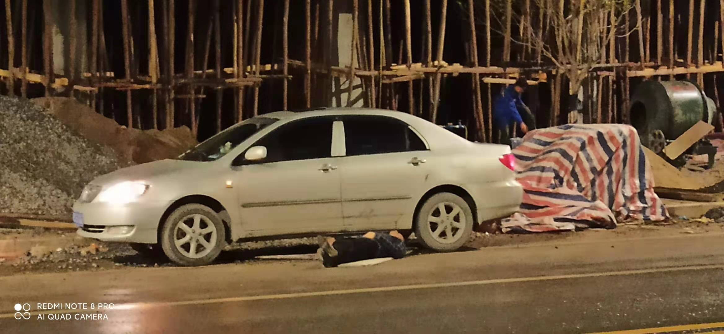 狗主人不拉狗绳，狗被车子撞死，该不该赔？745 / 作者:米老鼠和蓝精鼠v / 帖子ID:281785