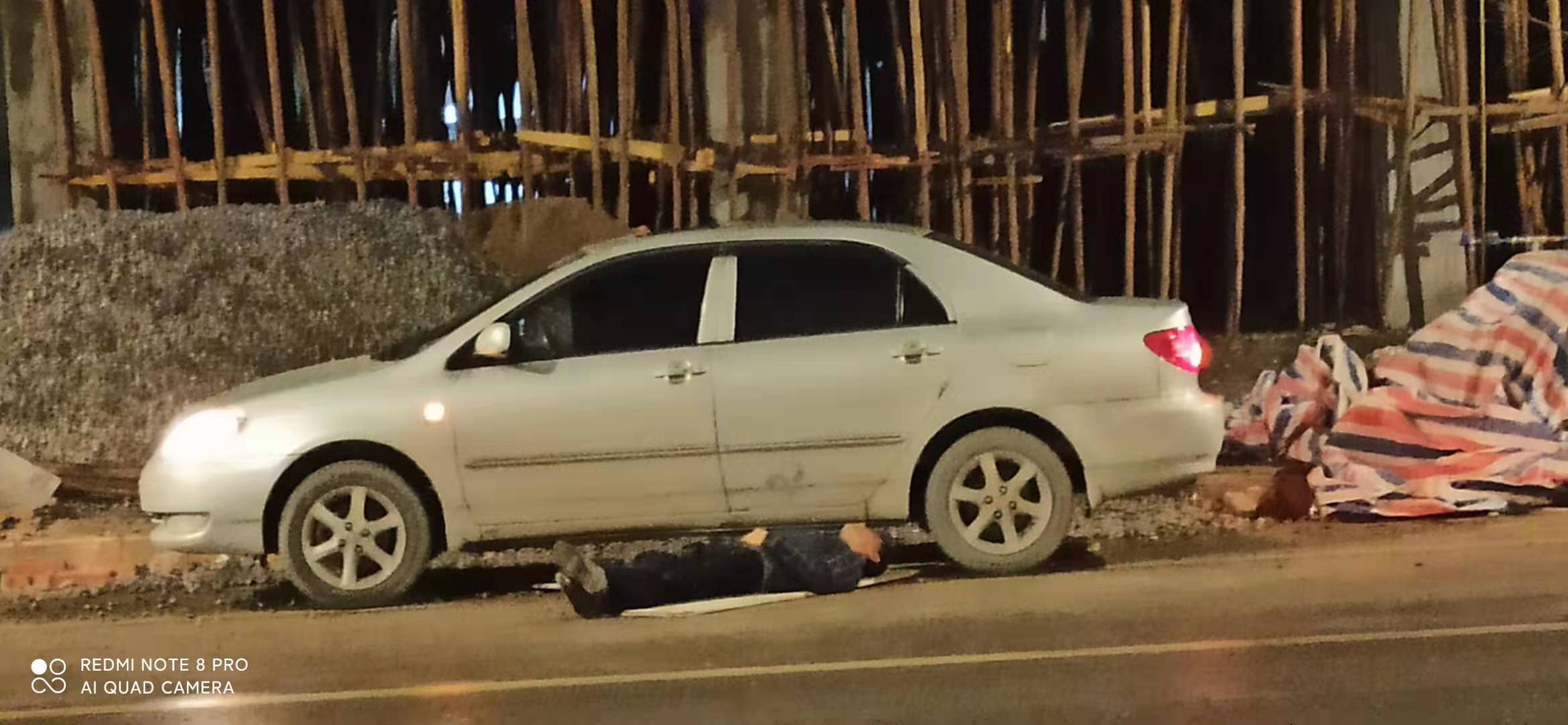 狗主人不拉狗绳，狗被车子撞死，该不该赔？763 / 作者:米老鼠和蓝精鼠v / 帖子ID:281785
