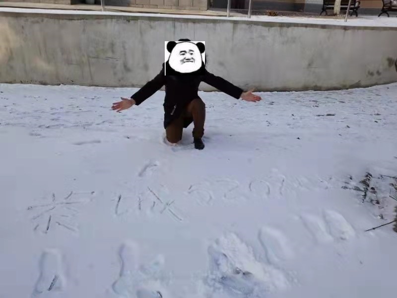 今年在大连，不回家过年了！817 / 作者:六翼天使494 / 帖子ID:281890