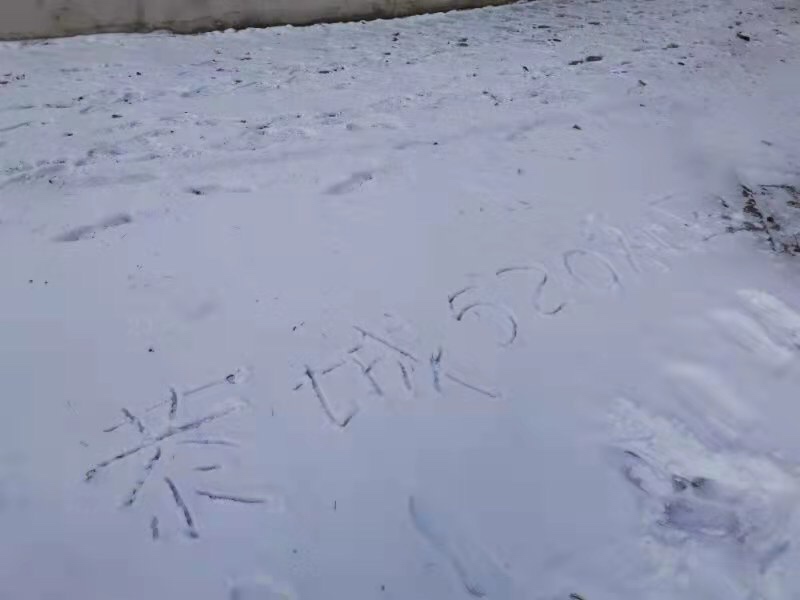 今年在大连，不回家过年了！154 / 作者:六翼天使494 / 帖子ID:281890