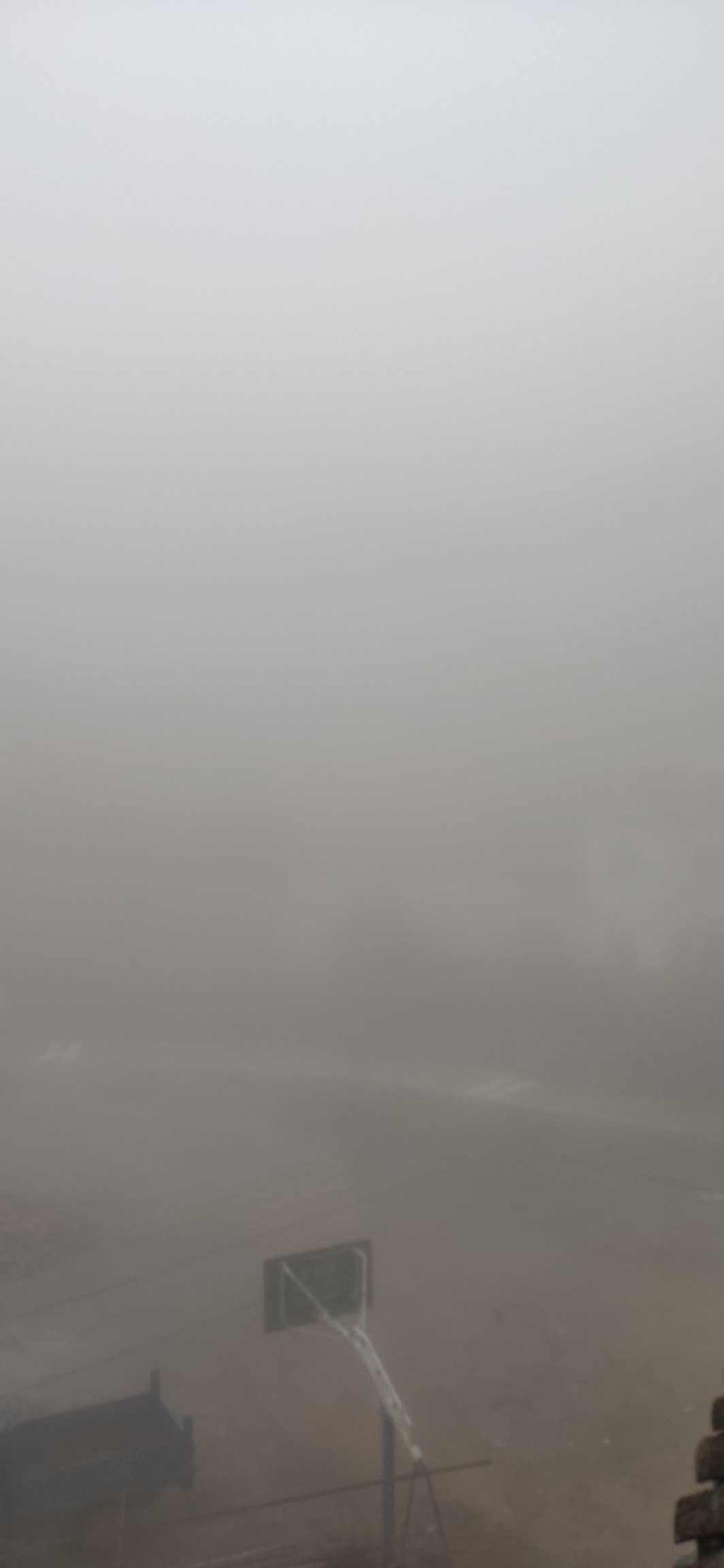 大雾，这才是早春瑶山特有的风度521 / 作者:瑤人老李 / 帖子ID:282767