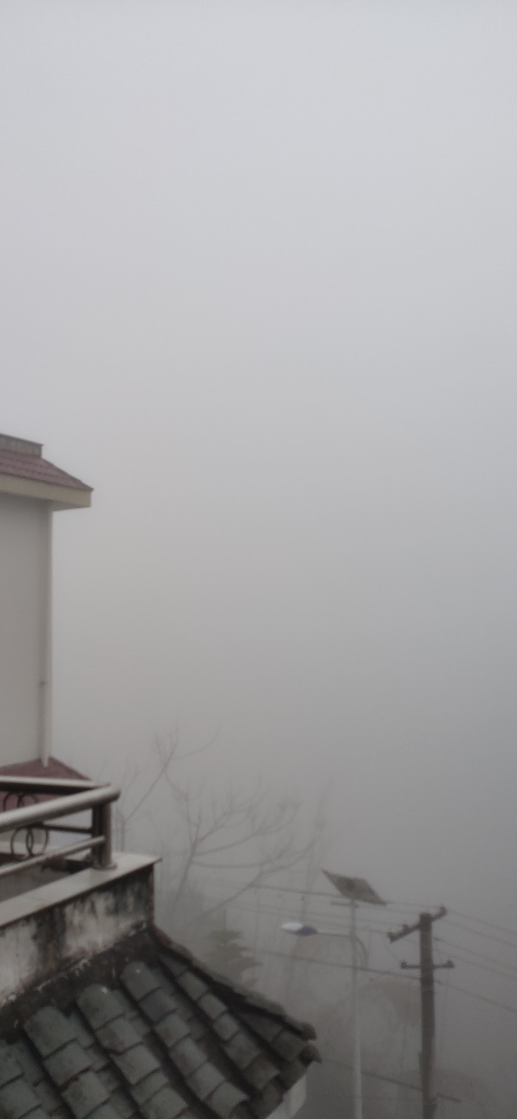大雾，这才是早春瑶山特有的风度134 / 作者:瑤人老李 / 帖子ID:282767