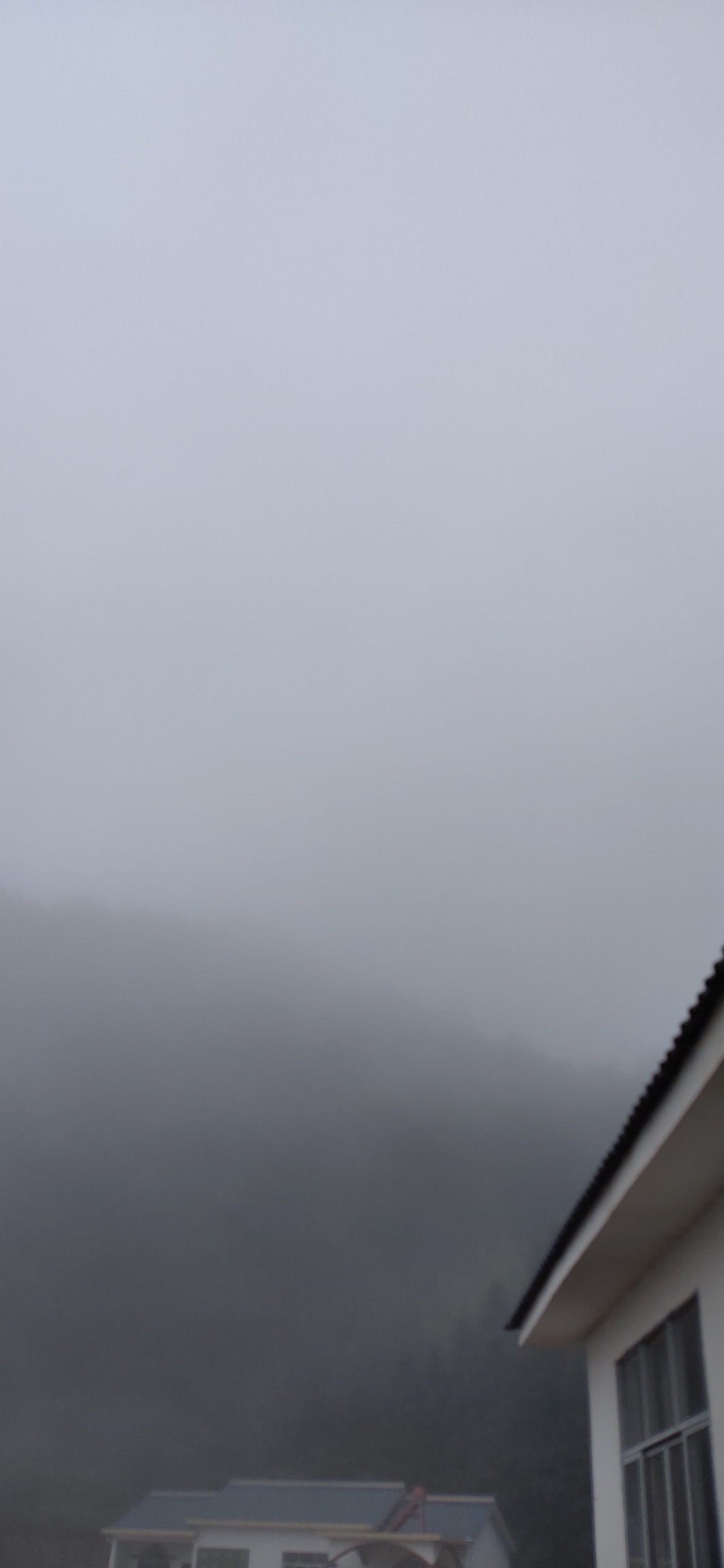大雾，这才是早春瑶山特有的风度527 / 作者:瑤人老李 / 帖子ID:282767