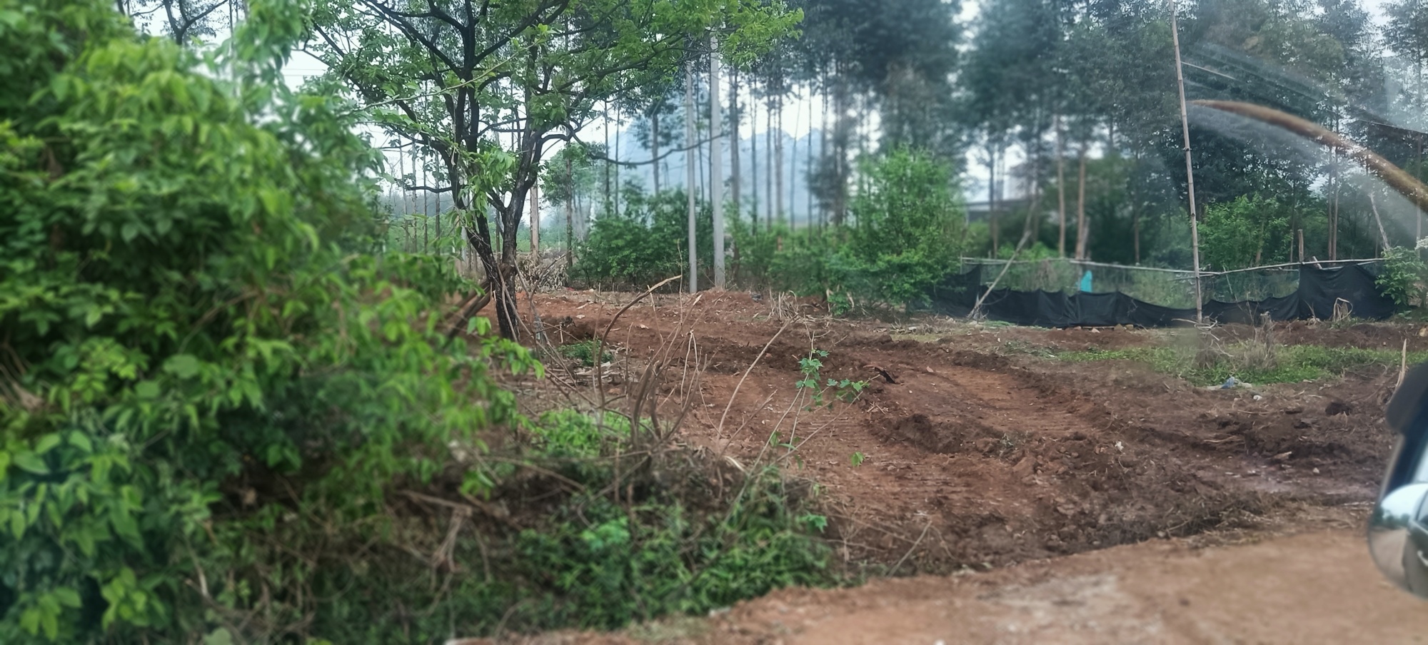 ——恭城的高速公路梦开始渐现了194 / 作者:力行者 / 帖子ID:283675