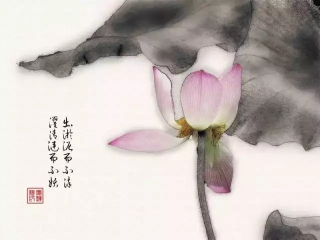 ——人在俗世外，心在山水间214 / 作者:力行者 / 帖子ID:284490