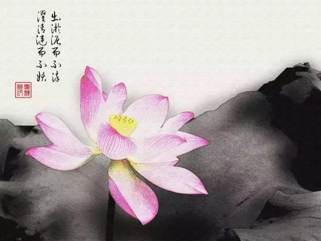 ——人在俗世外，心在山水间586 / 作者:力行者 / 帖子ID:284490