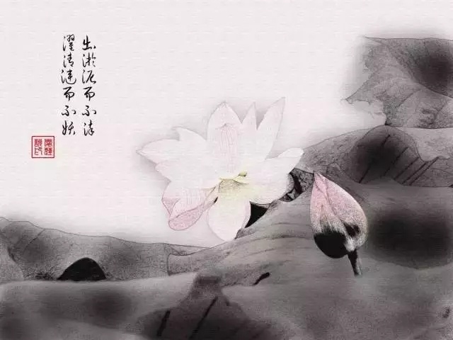 ——人在俗世外，心在山水间661 / 作者:力行者 / 帖子ID:284490