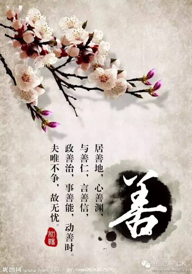 ——心宽皆是路，心安即是家502 / 作者:力行者 / 帖子ID:284570