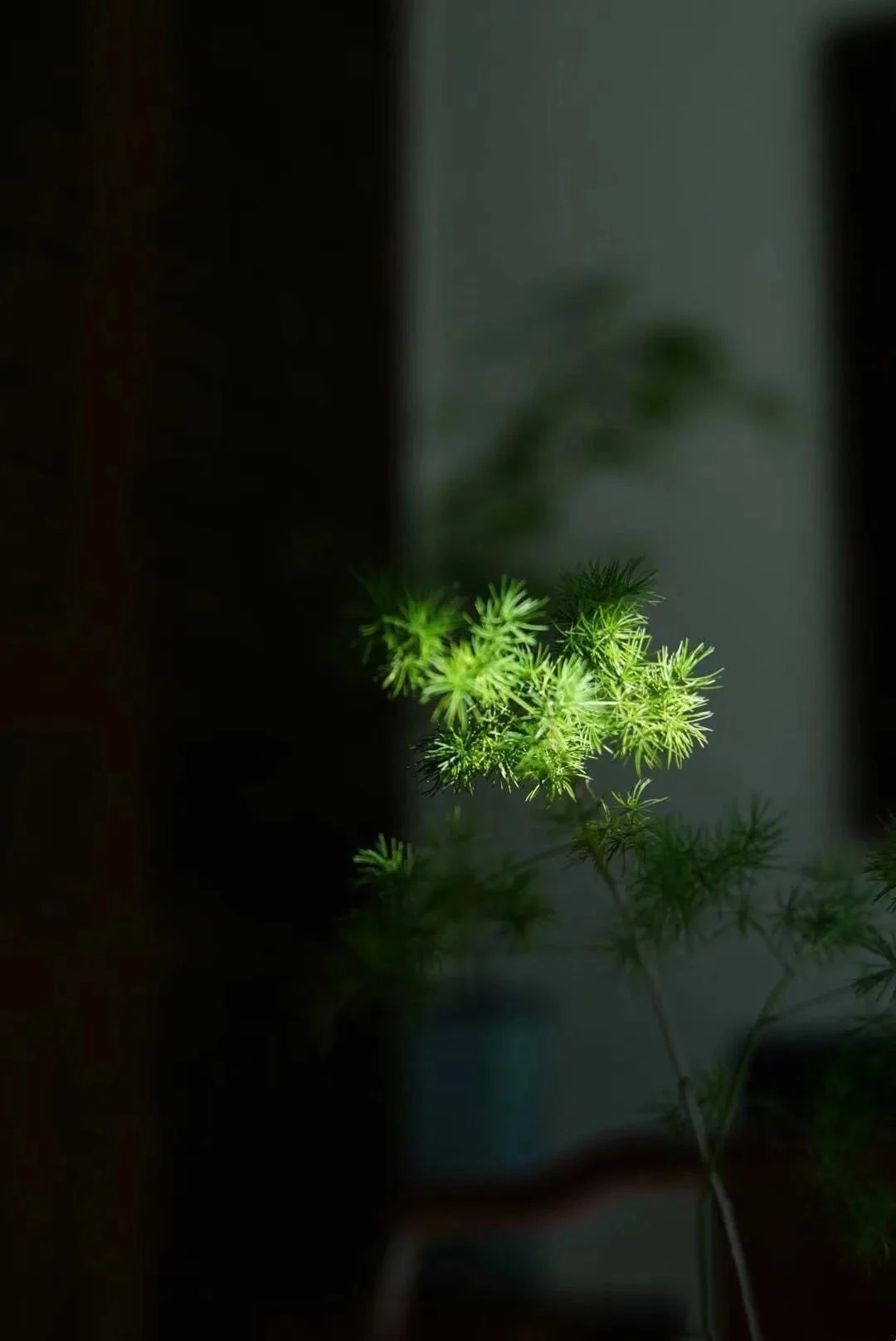 ——生活在易，安之以美723 / 作者:力行者 / 帖子ID:284665