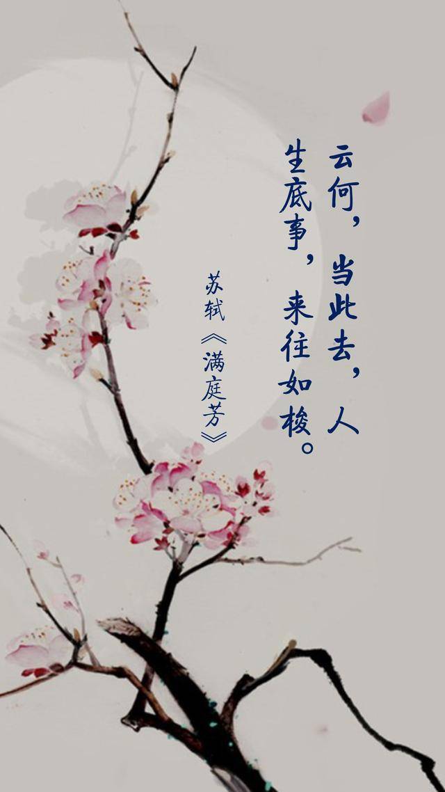 人间有情深几许，最美不过是宋词了得392 / 作者:力行者 / 帖子ID:284767