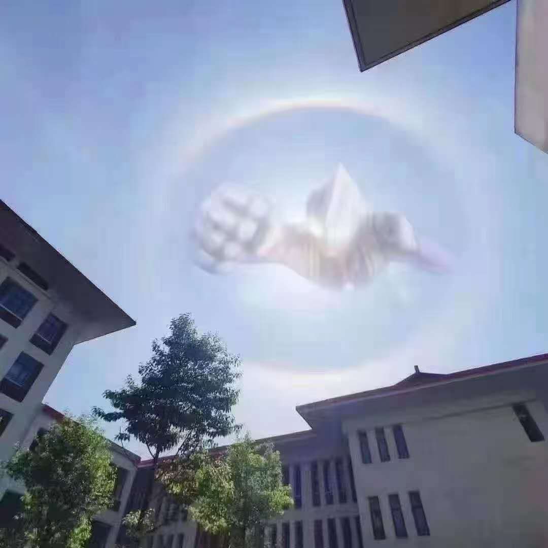 今天的太阳有点好看哦～656 / 作者:猛龙 / 帖子ID:284815