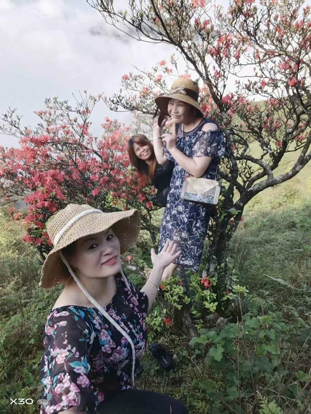 花好看，人不珍惜608 / 作者:莫亿良 / 帖子ID:284962