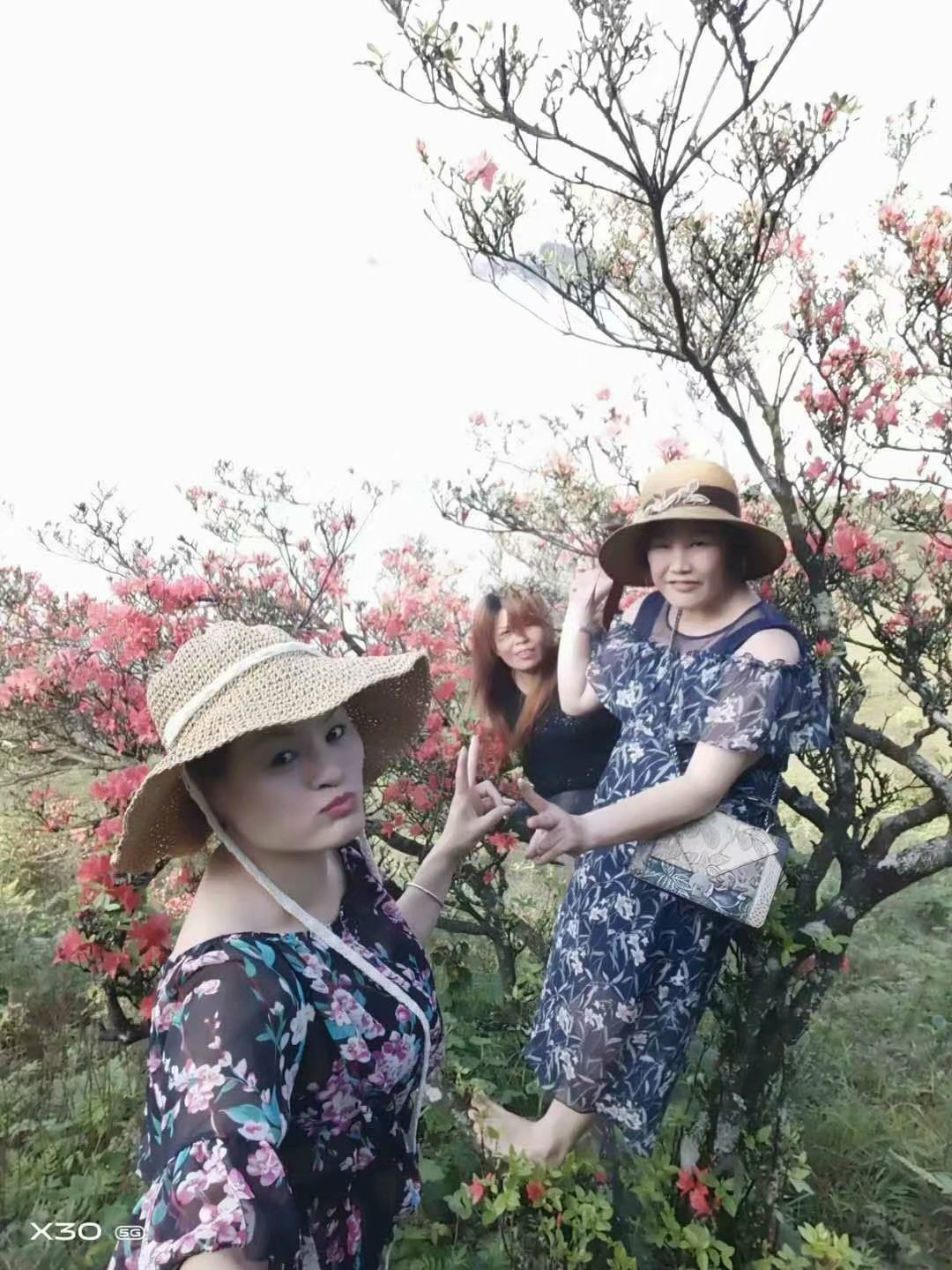 花好看，人不珍惜504 / 作者:莫亿良 / 帖子ID:284962