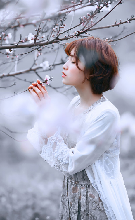 ——陌上花开相思扣288 / 作者:力行者 / 帖子ID:285372