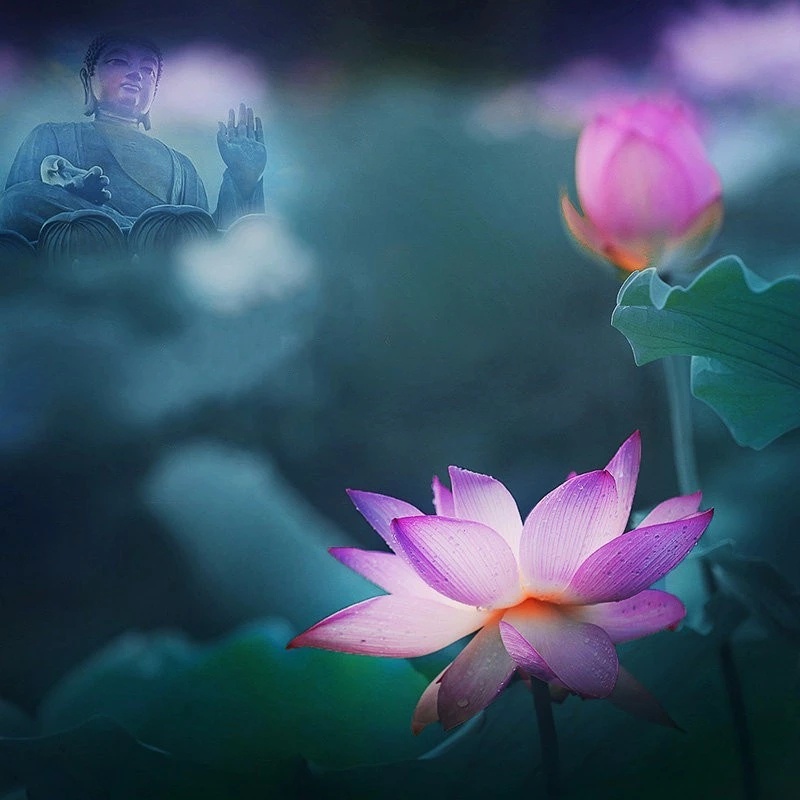 ——陌上花开相思扣760 / 作者:力行者 / 帖子ID:285372