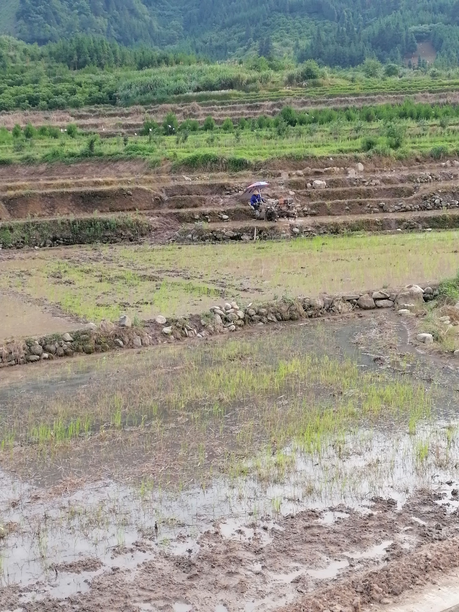 艺术农田，唯美乡村808 / 作者:平常心53 / 帖子ID:285525