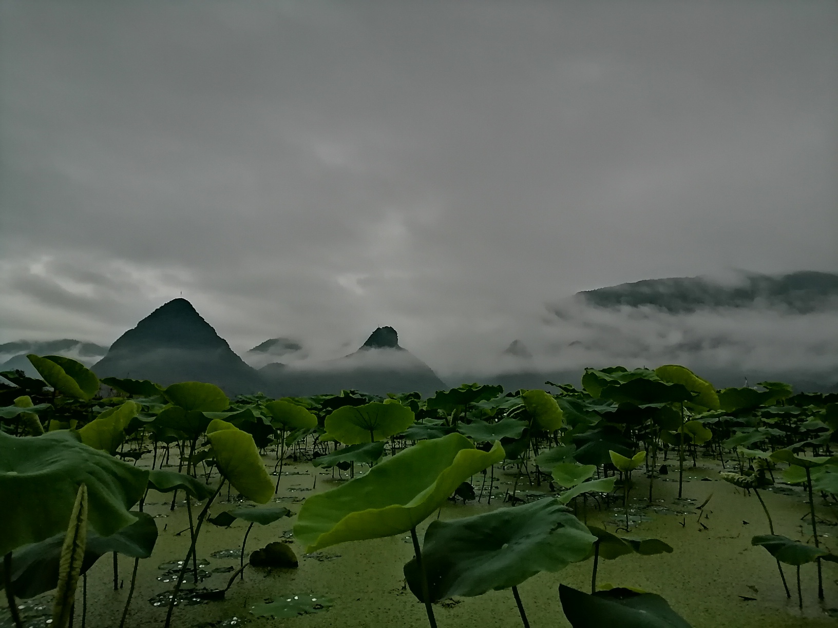 艺术农田，唯美乡村876 / 作者:平常心53 / 帖子ID:285525