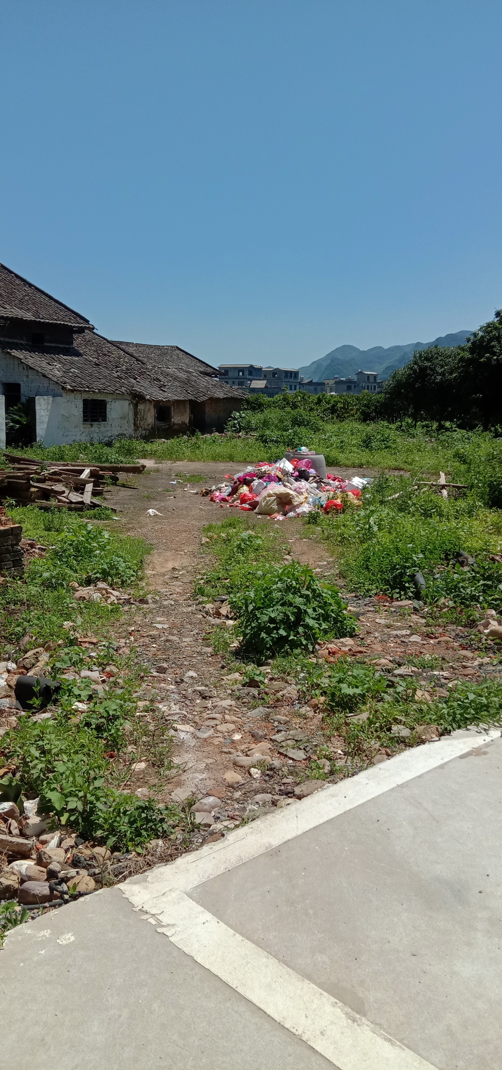 西岭翠峰山公园垃圾没人处理谁之过？290 / 作者:木辛 / 帖子ID:285952