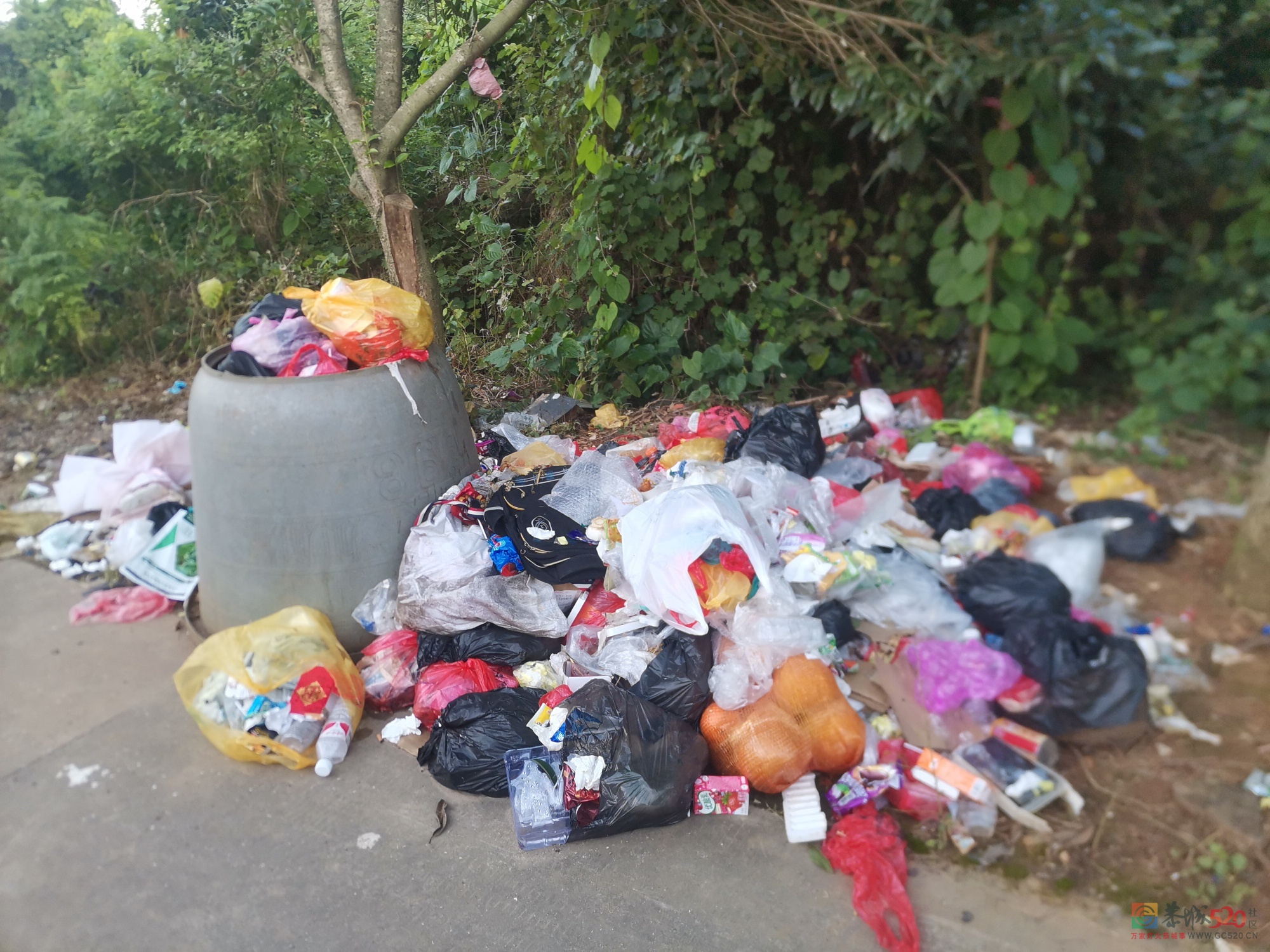 西岭镇周边街道的垃圾好多天没处理了487 / 作者:baby甜心 / 帖子ID:285956