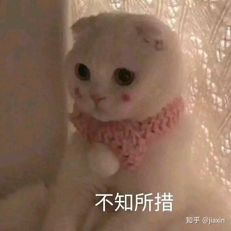 求助老表，找一个这样子的老鼠玩偶124 / 作者:七八月. / 帖子ID:286040