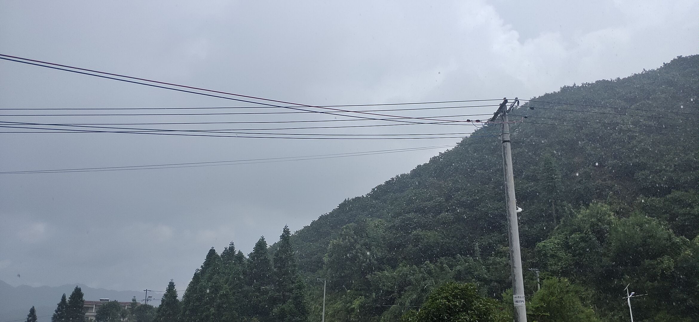 今日午后瑶山里有雨289 / 作者:瑤人老李 / 帖子ID:287853