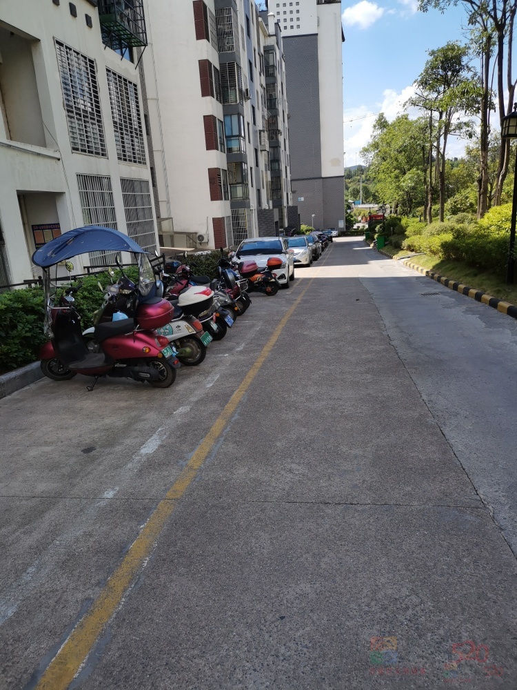 小区停车规划和管理混乱861 / 作者:贾刘云 / 帖子ID:289123