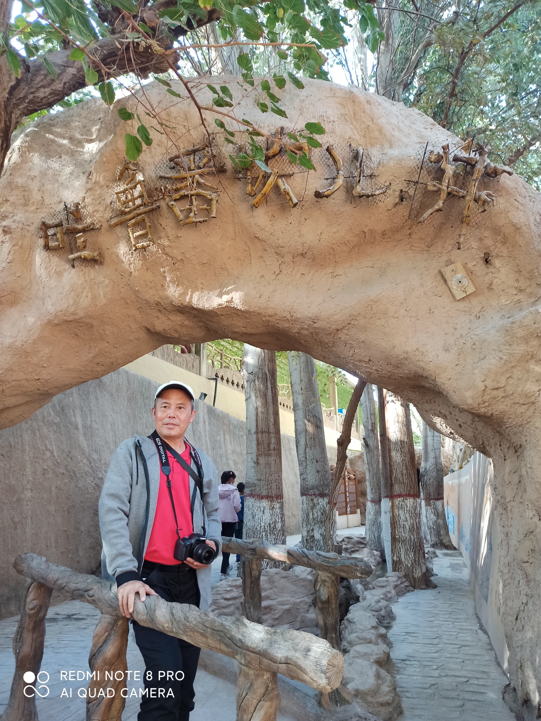我在新疆自驾游(之二)524 / 作者:罗古 / 帖子ID:289497