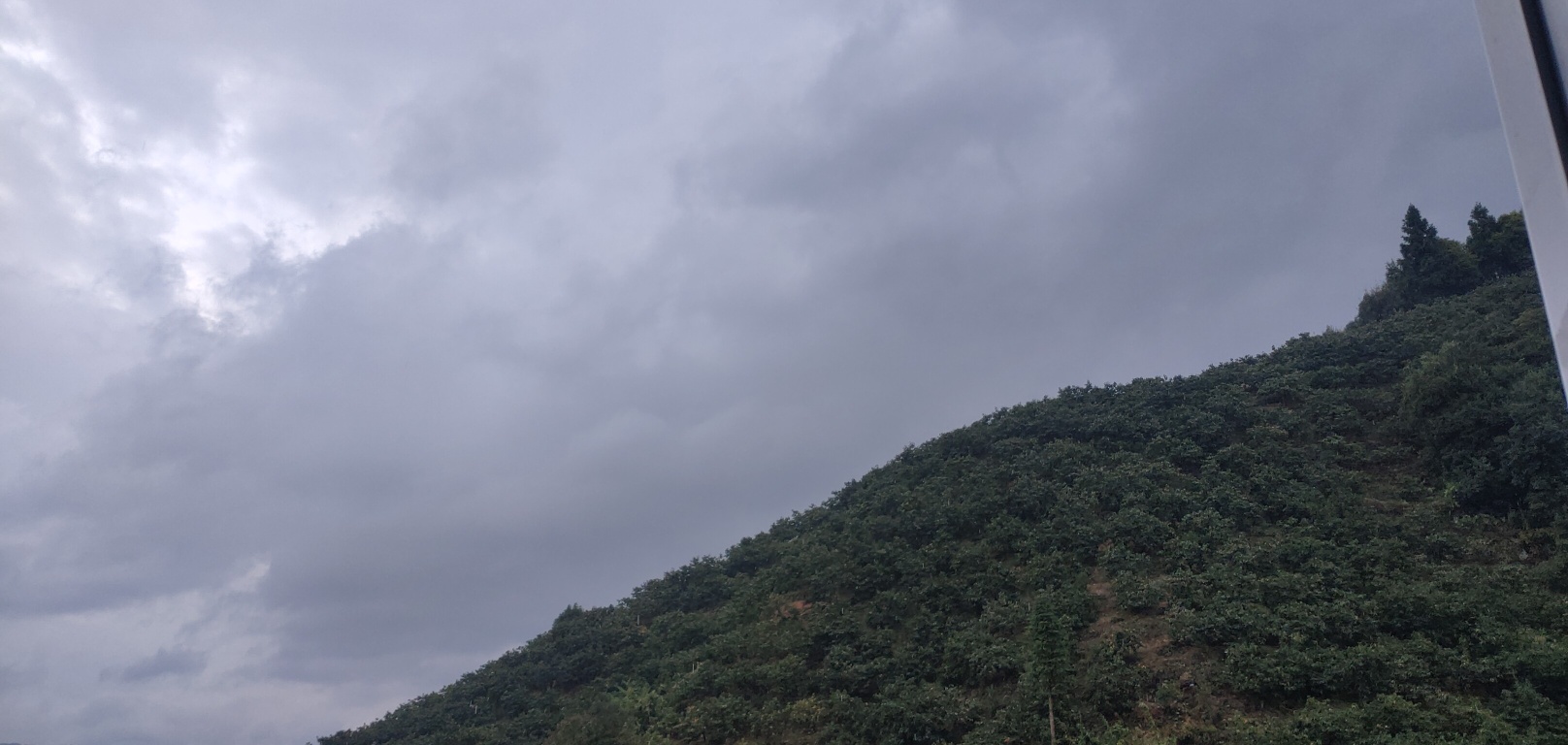 “圆规”威力已显，云雨正在进行194 / 作者:瑤人老李 / 帖子ID:289652