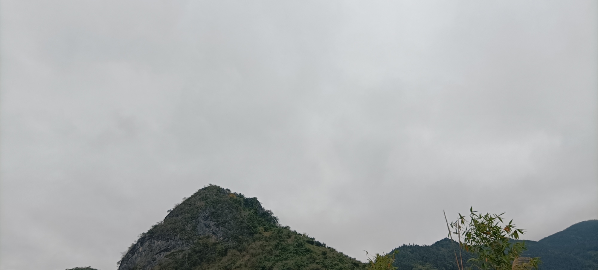 ——烧（现）柴吃（现）米的日子到了586 / 作者:力行者 / 帖子ID:291501