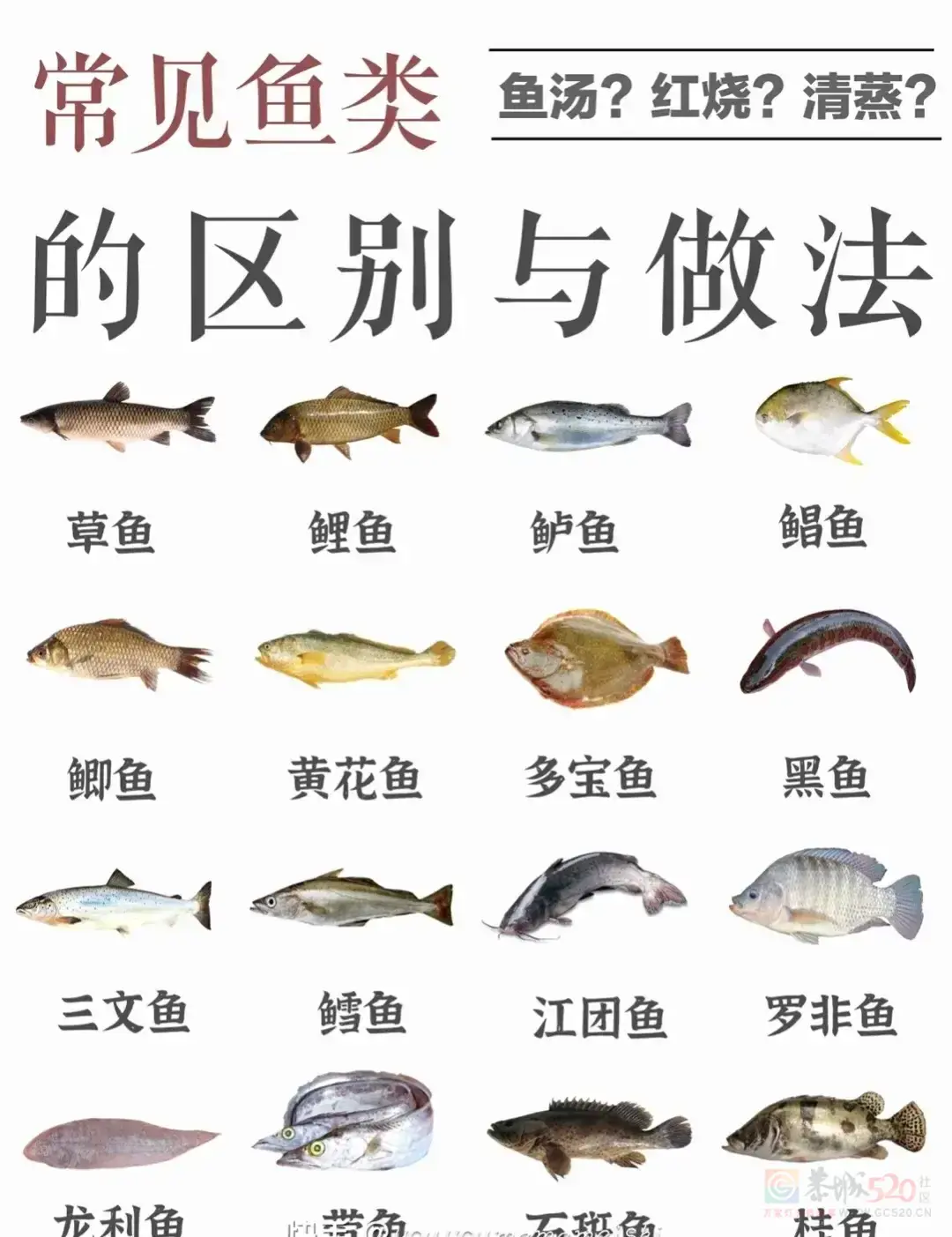 ——识鱼与鱼的做法374 / 作者:力行者 / 帖子ID:292470