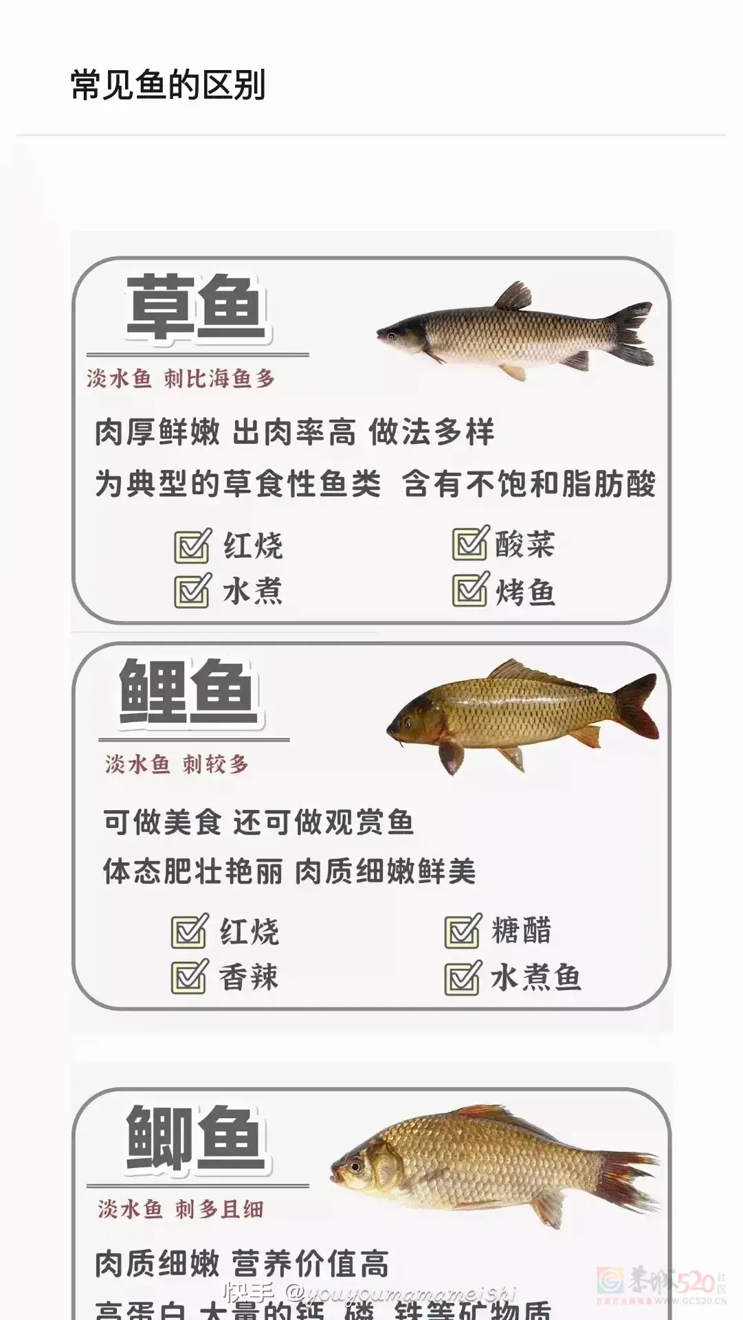 ——识鱼与鱼的做法736 / 作者:力行者 / 帖子ID:292470