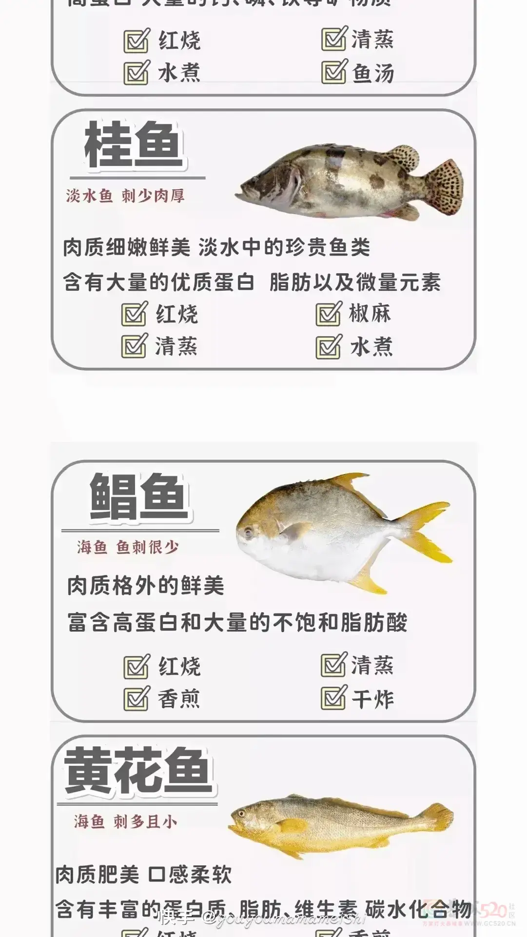 ——识鱼与鱼的做法68 / 作者:力行者 / 帖子ID:292470