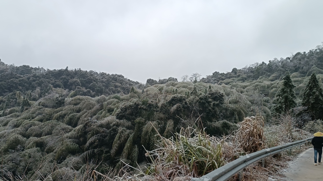 西岭椅子白沙界的雪好大484 / 作者:此人正在学习 / 帖子ID:293009