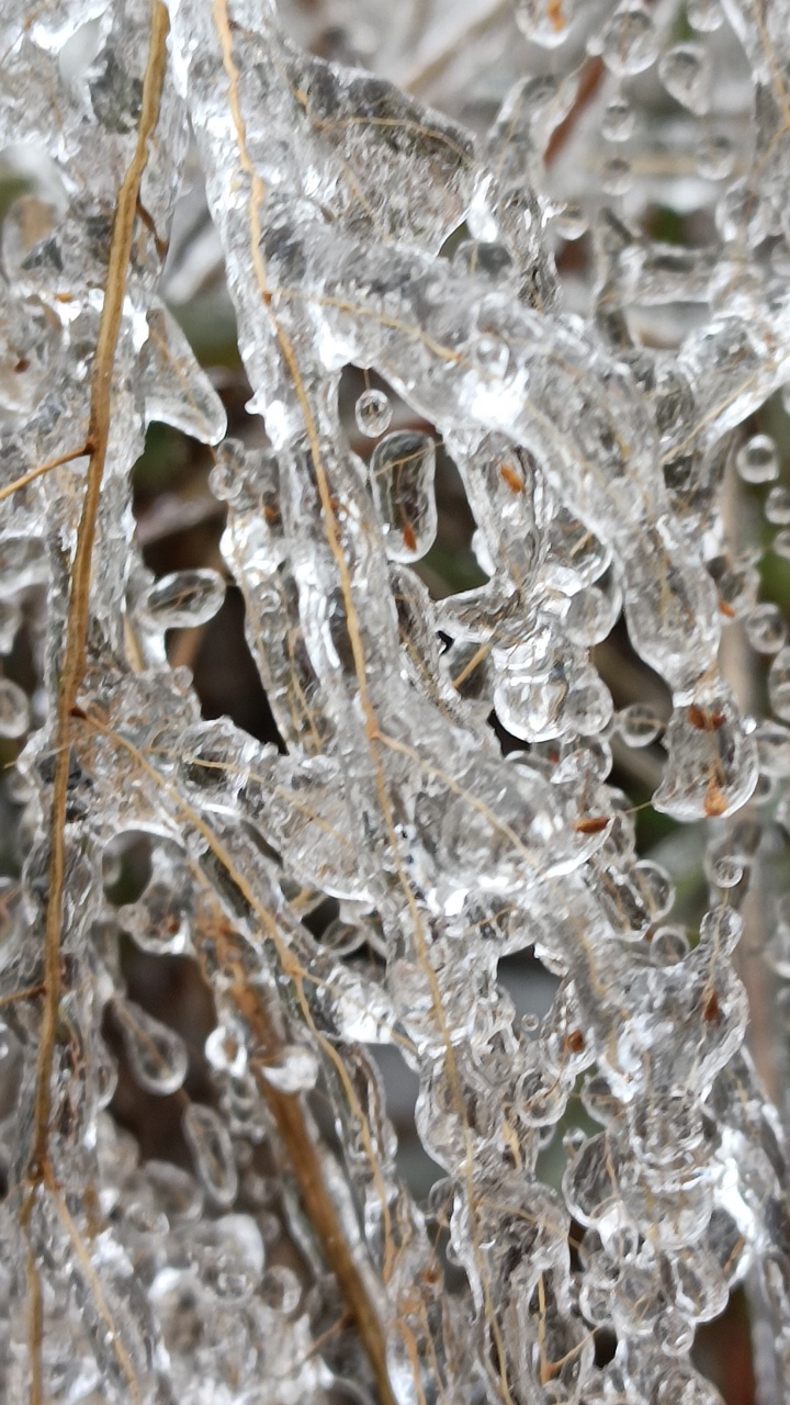 西岭椅子白沙界的雪好大48 / 作者:此人正在学习 / 帖子ID:293009