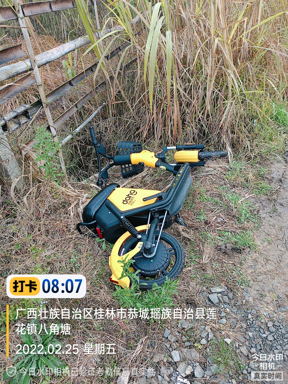 小黄车感觉应该取消一下进村！！839 / 作者:-明天，你好 / 帖子ID:293226