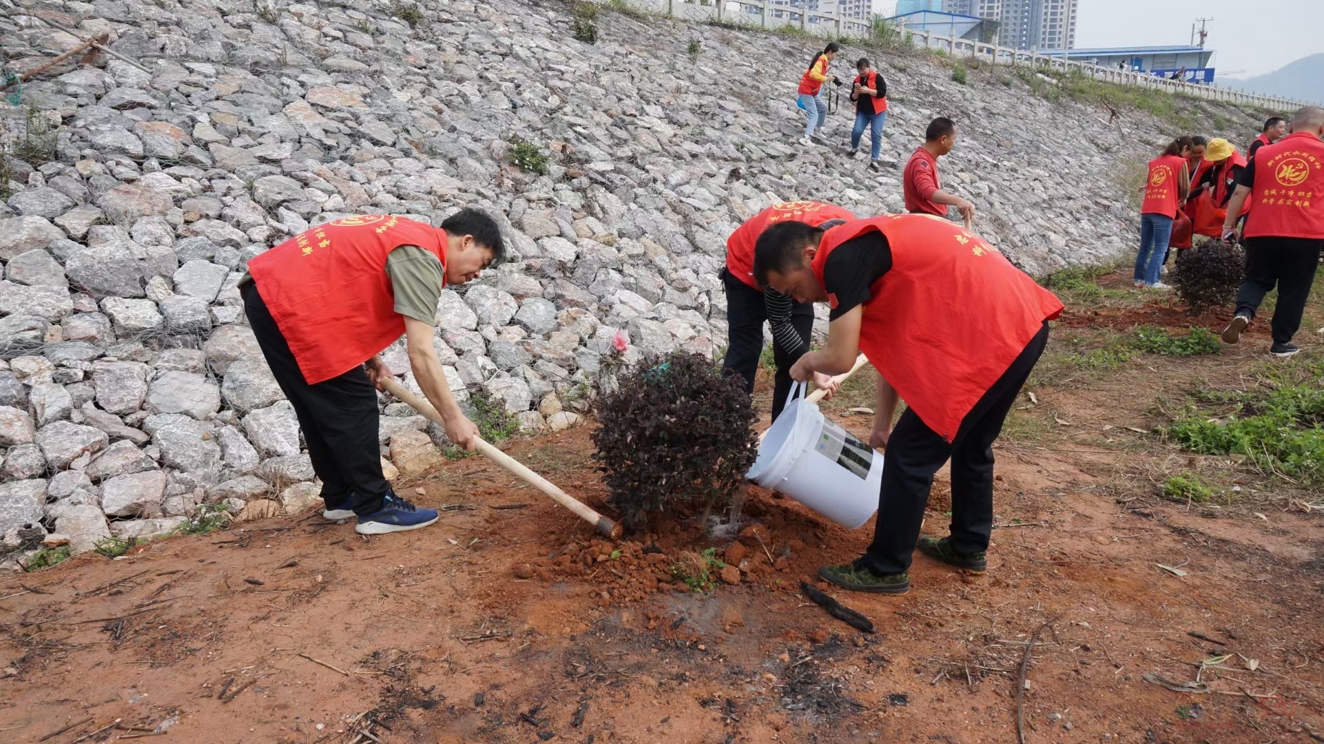 团县委组织青年团员、少数民族代表、青年志愿者植树活动689 / 作者:水墨茶江 / 帖子ID:293557