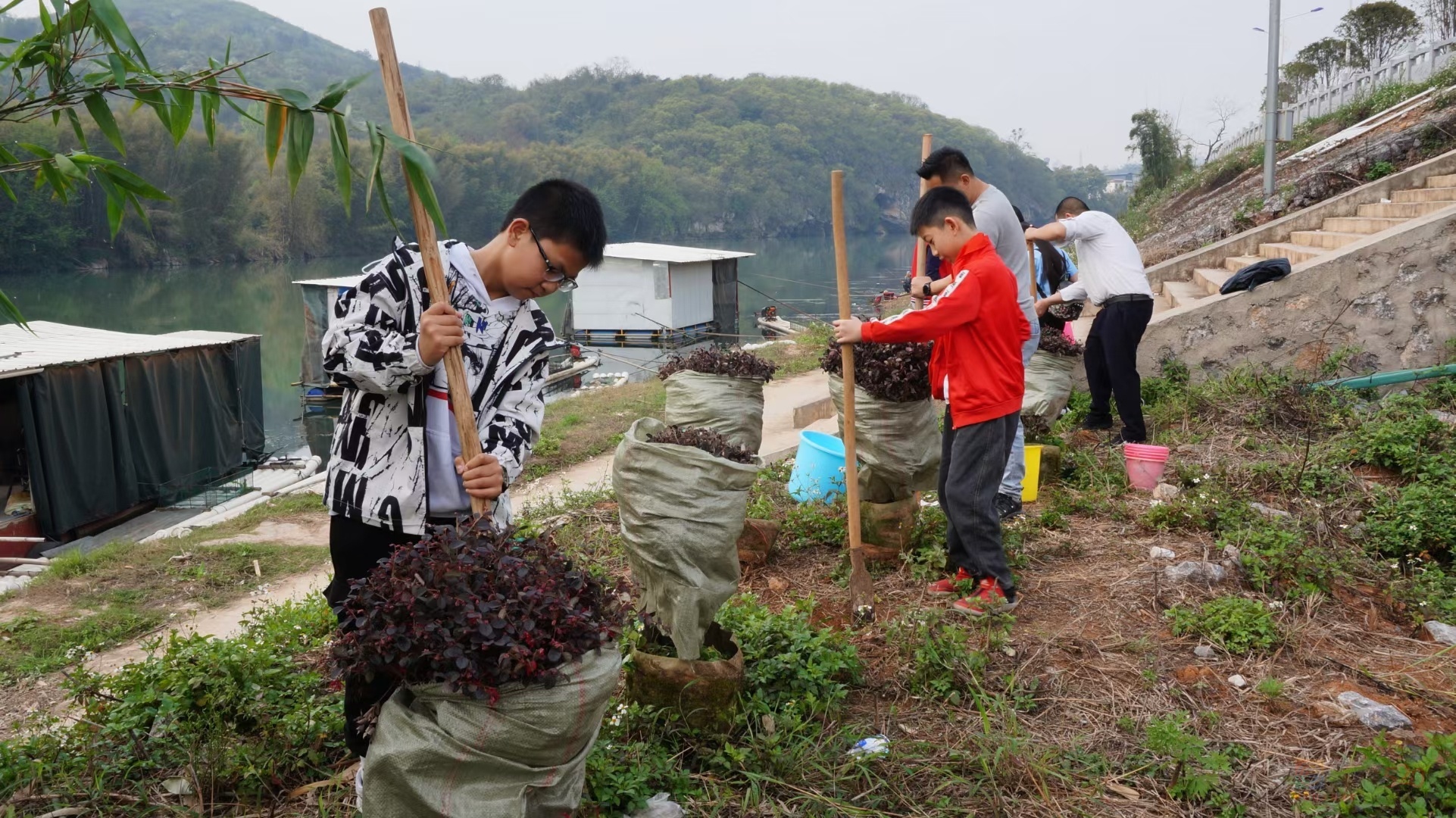 团县委组织青年团员、少数民族代表、青年志愿者植树活动915 / 作者:水墨茶江 / 帖子ID:293557