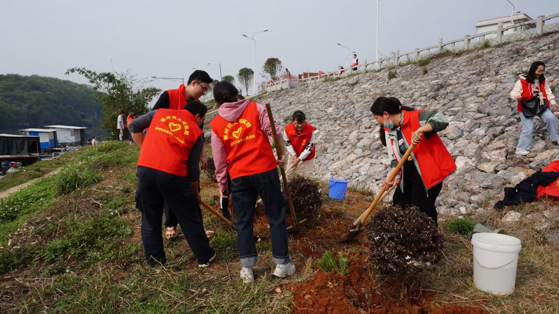 团县委组织青年团员、少数民族代表、青年志愿者植树活动382 / 作者:水墨茶江 / 帖子ID:293557