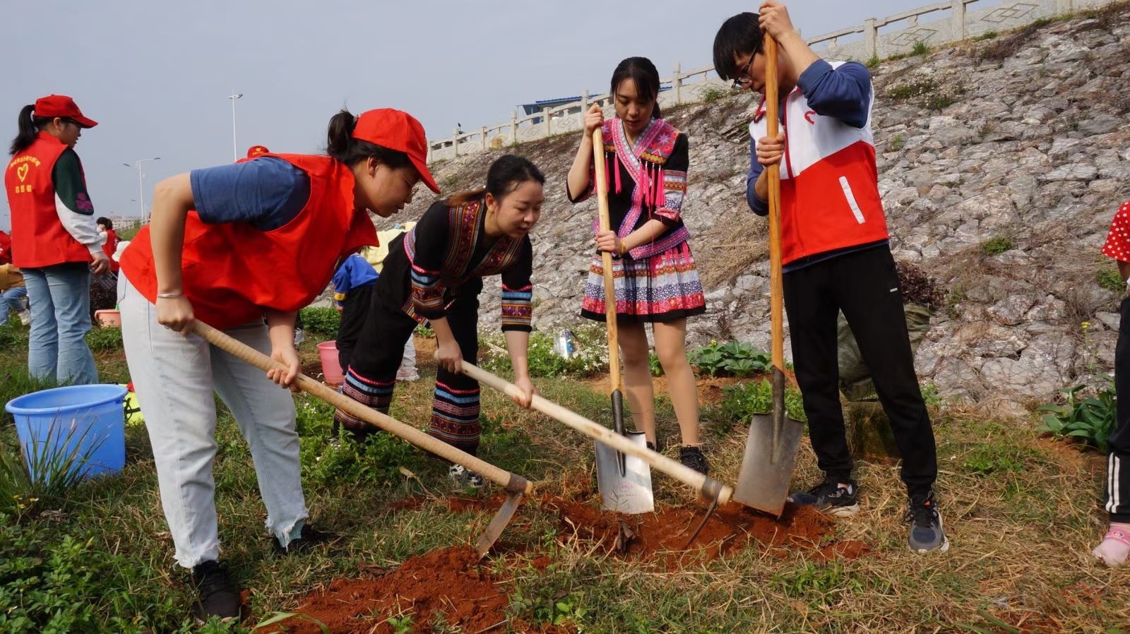 团县委组织青年团员、少数民族代表、青年志愿者植树活动126 / 作者:水墨茶江 / 帖子ID:293557