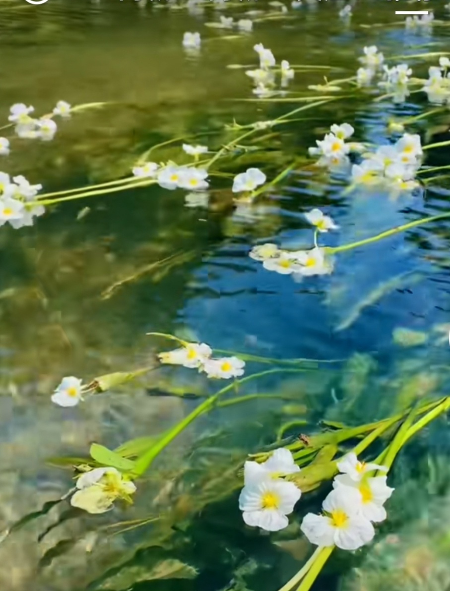 水性杨花688 / 作者:冰娇时代 / 帖子ID:294311