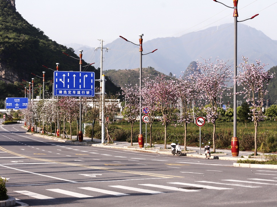 从下午三点拍到日落——只因这片花海太美丽、高铁新区太漂亮（第二组）:748 / 作者:陈爱国 / 帖子ID:294346