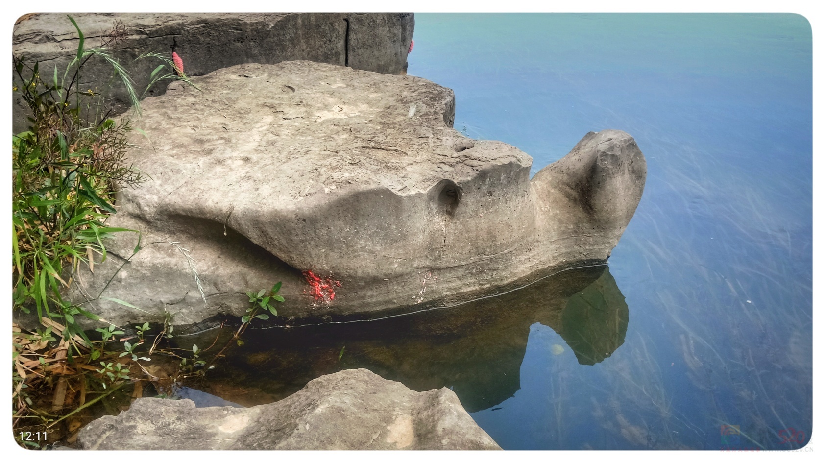 再次发现恭城河边的另一处“石龟”: