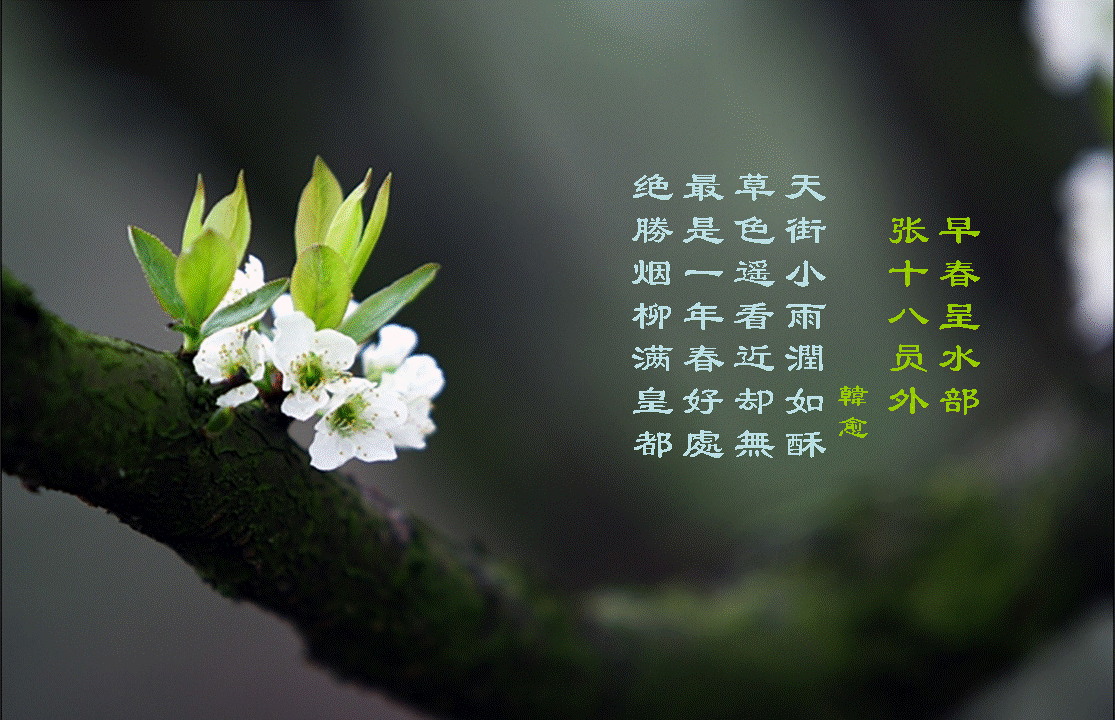 ——惊人心魄的文案456 / 作者:力行者 / 帖子ID:294725