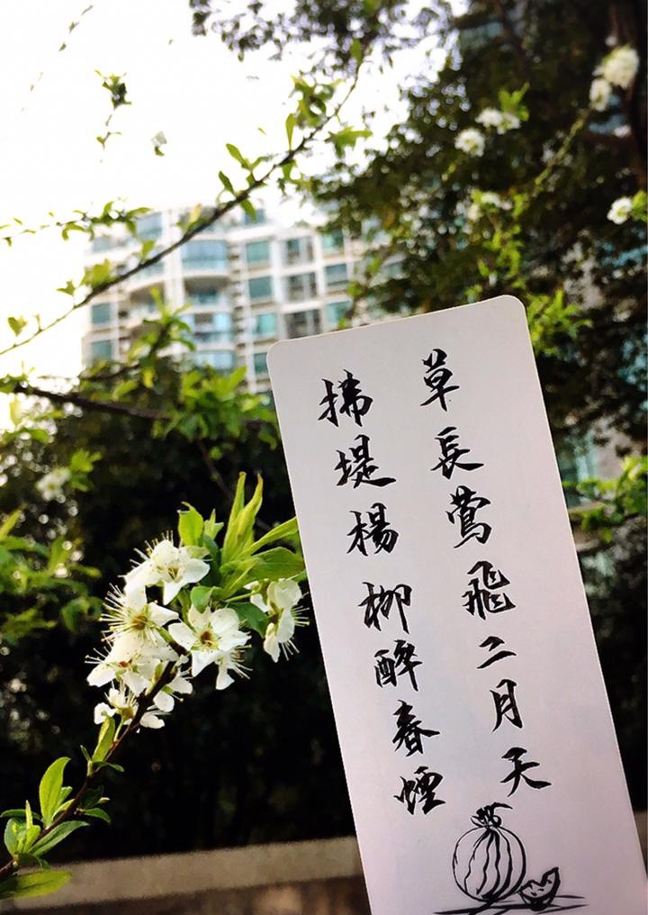 ——惊人心魄的文案512 / 作者:力行者 / 帖子ID:294725