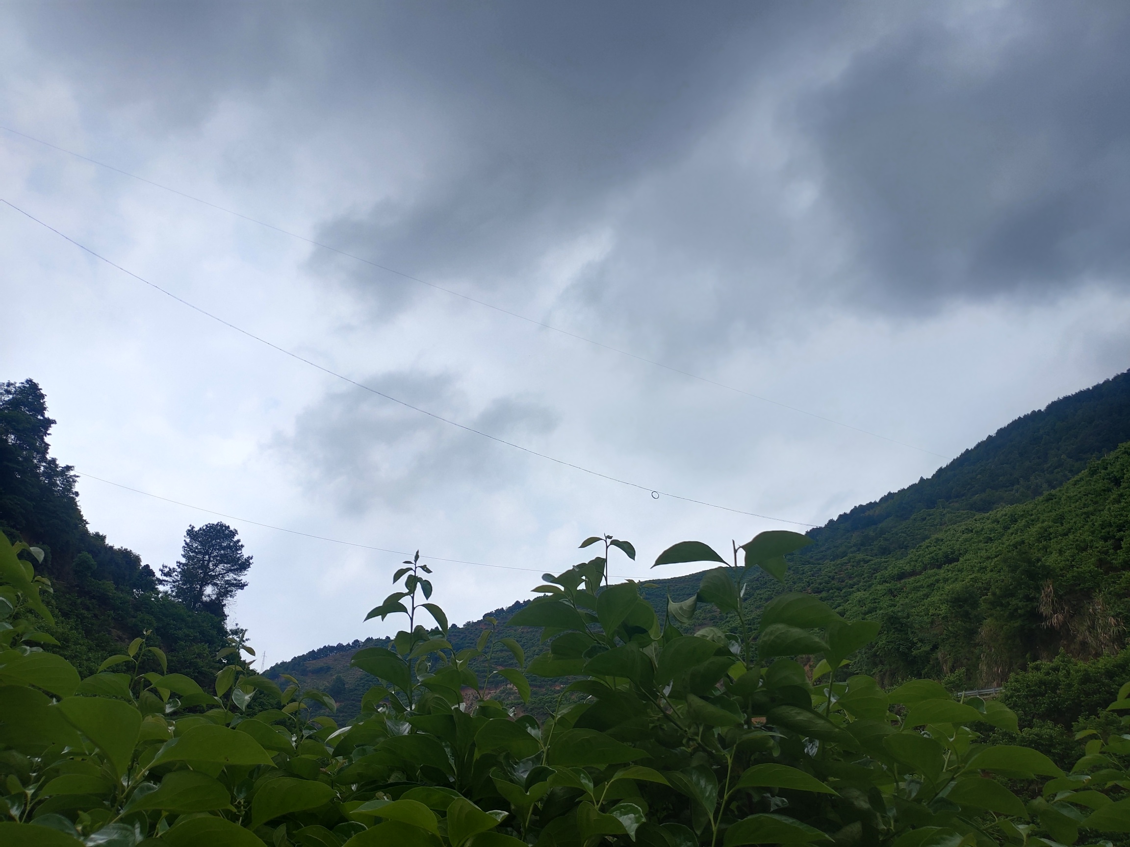 天空阴沉，没有降雨53 / 作者:瑤人老李 / 帖子ID:294804