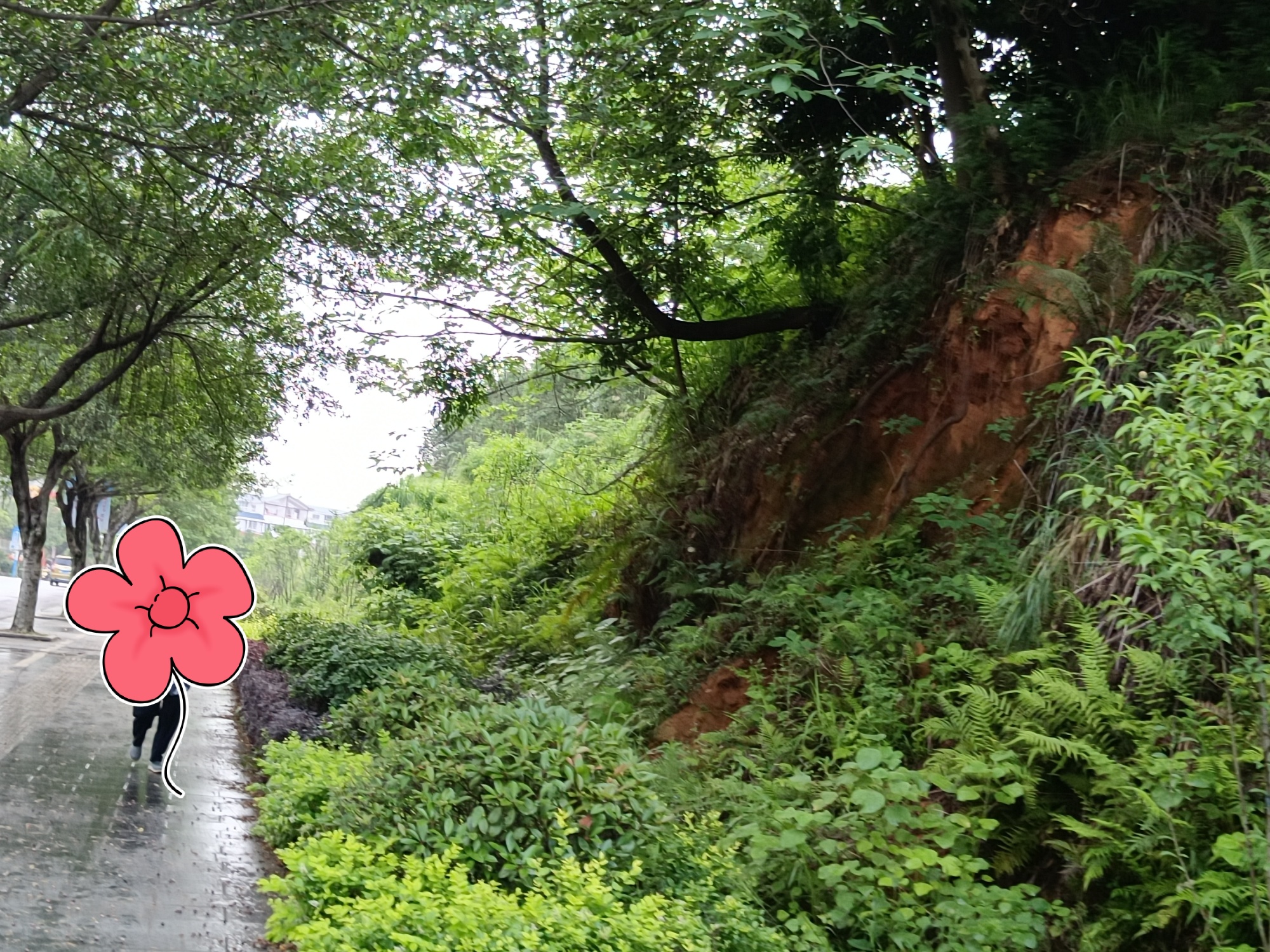 提个醒，春末初夏，暴雨多，请注意安全。716 / 作者:风云客 / 帖子ID:294861