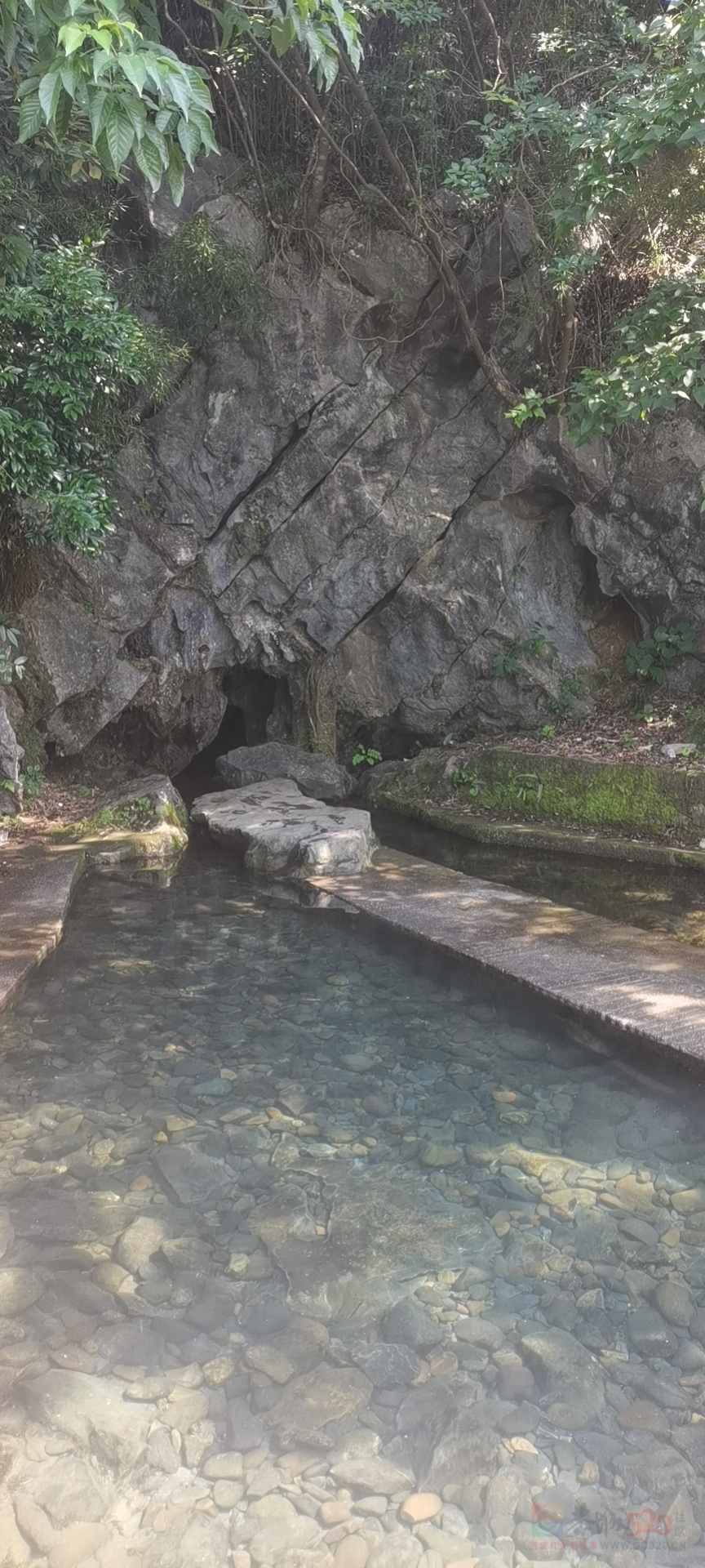 天下油茶在恭城 第十二届桂林恭城油茶文化节5月21日开幕195 / 作者:13977259800 / 帖子ID:295615