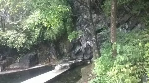 天下油茶在恭城 第十二届桂林恭城油茶文化节5月21日开幕201 / 作者:13977259800 / 帖子ID:295615